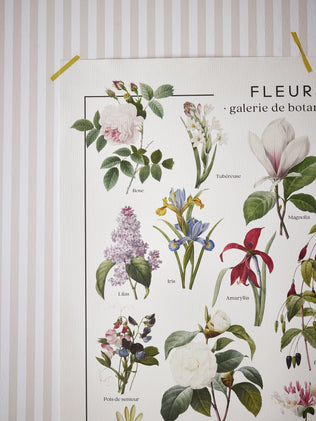 Blumen-Poster - Les Jolies Planches-Kollektion