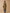 Trench long col tailleur coton biologique femme