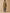 Trench long col tailleur coton biologique femme