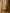 Trench long col tailleur coton biologique femme