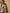 Trench long col tailleur coton biologique femme
