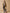 Trench long col tailleur coton biologique femme