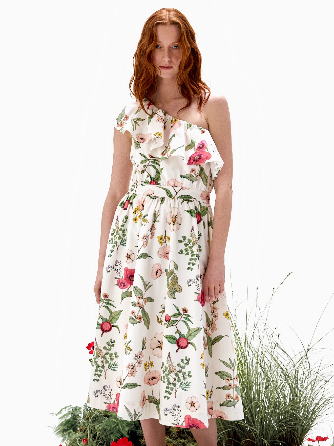 Damenkleid - Kollektion von Deyrolle x Cyrillus