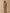 Chemise femme tissu Liberty - Limited Collection
