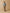 Damen-Hemdbluse aus Liberty-Stoff - Limited Collection