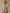 Geknöpfter Damen-Cardigan - Cashmere-Kollektion