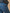 Damen Mom Jeans Claire - Bio-Baumwolle, nachhaltig gewaschen