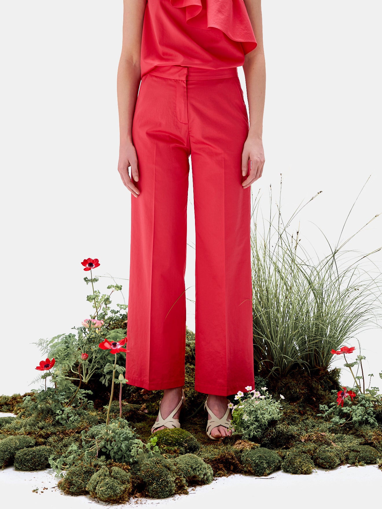 Damenhose mit weitem Bein - Kollektion von Deyrolle x Cyrillus