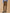 Pantalon chino velours femme Marine