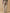 Damenhose Agathe aus strukturiertem Velours