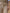 Damenhose Agathe aus strukturiertem Velours