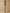Damenhose Agathe aus strukturiertem Velours
