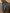 Blazer chevrons pure laine homme
