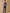 Herren-Blazer aus Wolltuch mit Glencheck-Muster