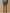 Chino velours regular homme