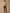 Chino velours regular homme