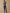 Regular Herren-Jeans aus Bio-Baumwolle