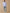 Chemise oxford homme coupe contemporaine