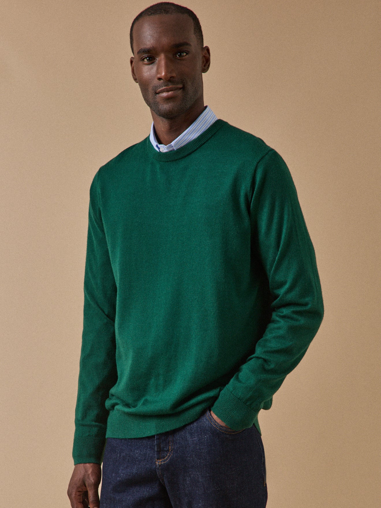 Pull fin col rond laine mérinos homme