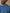 Herren-Sweatshirt aus Molton aus Bio-Baumwolle