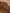 Derbies lacets croûte de cuir homme