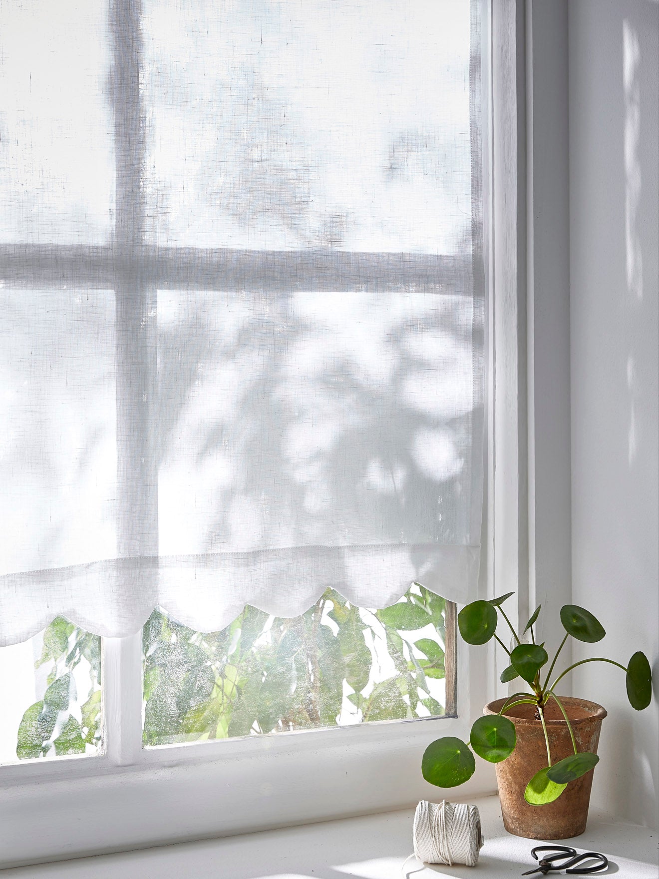 Scheibengardine mit Festonborte