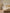 Housse de couette percale de coton "Botanica"