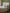 Housse de couette gaze de coton "Brindilles"