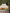 Housse de couette gaze de coton Arthur