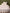 Housse de couette gaze de coton Arthur
