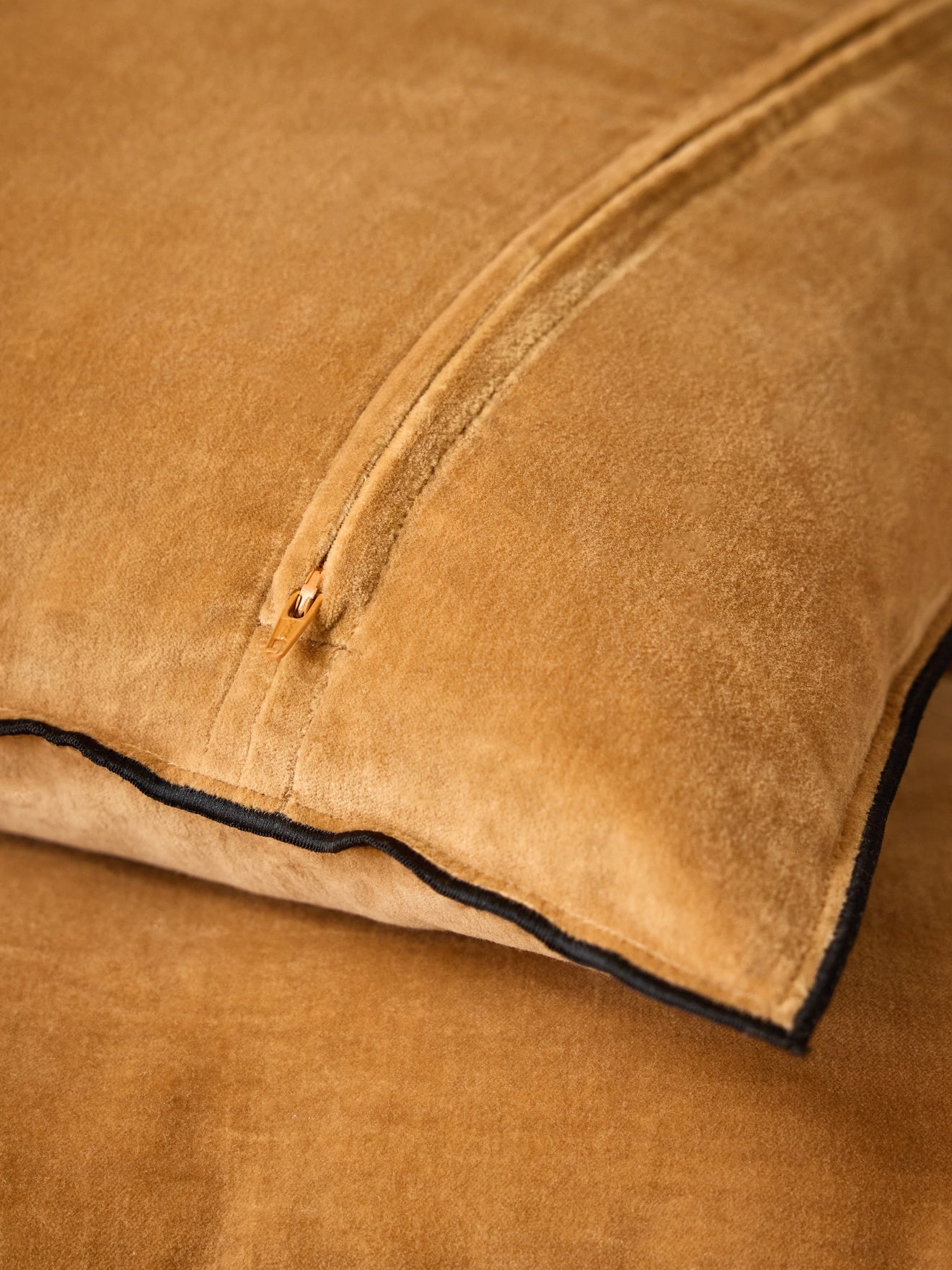 Housse de coussin en velours