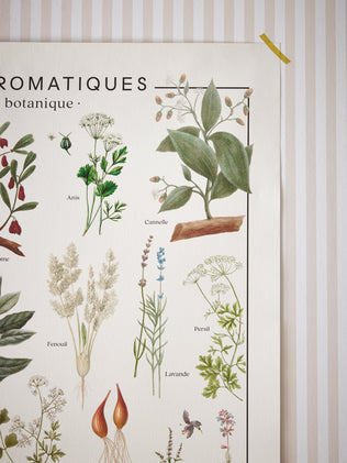 Pflanzen-Poster - Les Jolies Planches-Kollektion