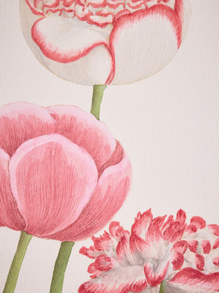 Poster mit Mohnblume und Hortensien - Les Jolies Planches-Kollektion