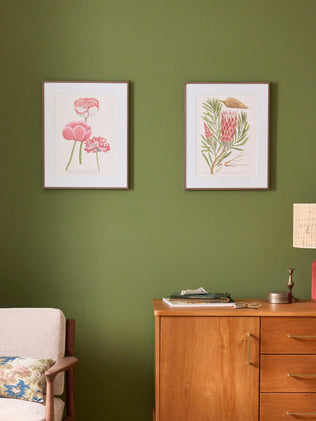 Scolimoce-Poster - Les Jolies Planches-Kollektion