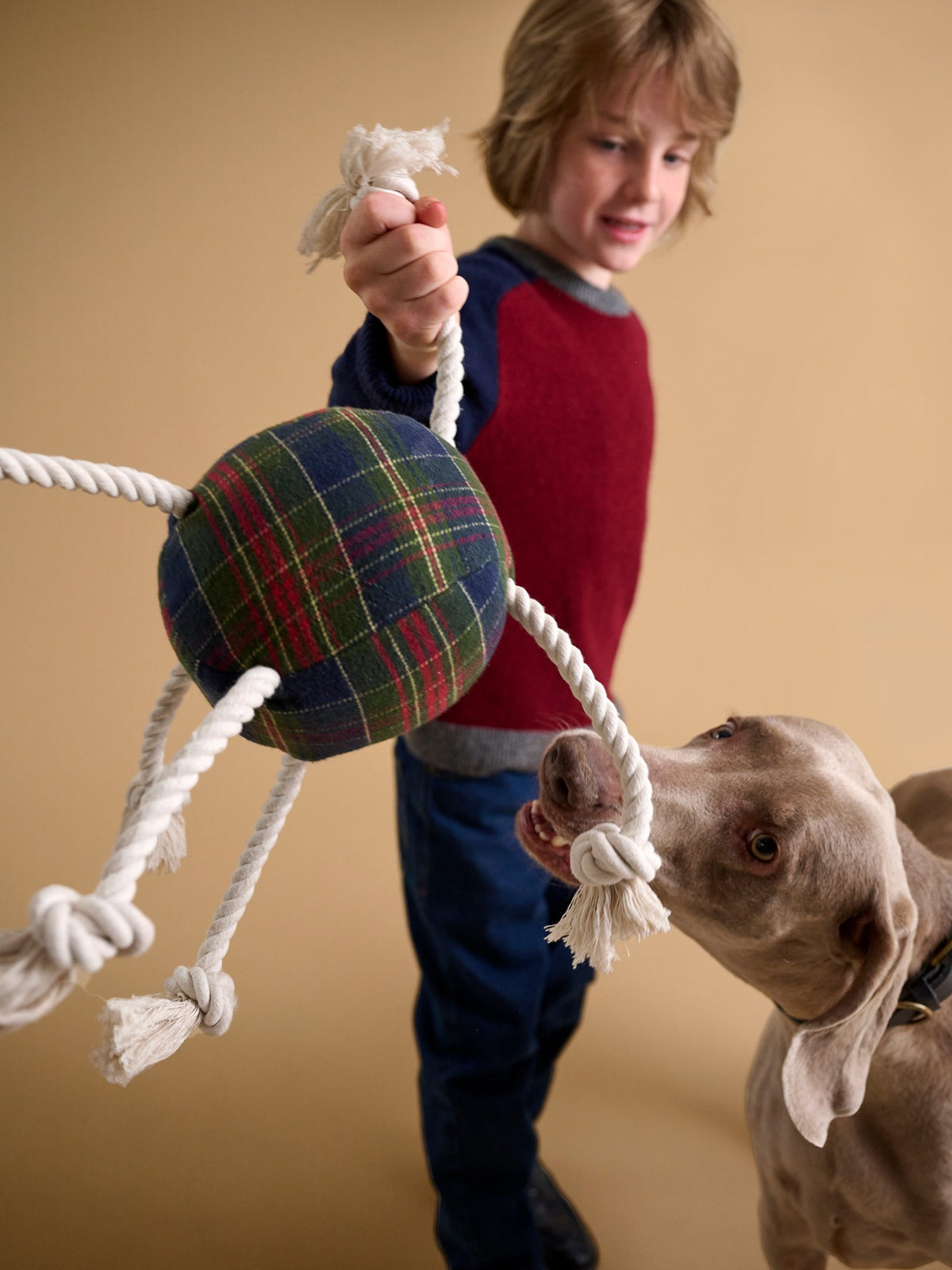 Hundeball mit Tartanmuster