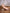 Chilienne adulte accoudoirs et repose-pieds