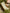 Kinderliegestuhl aus Tuch und Holz