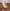 Kinderliegestuhl aus Tuch und Holz