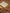 Kinderliegestuhl aus Tuch und Holz