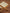 Kinderliegestuhl aus Tuch und Holz