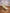 Kinderliegestuhl aus Tuch und Holz