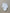 Baby-Body mit Blumenmuster-Kragen - Bio-Baumwolle