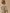 Baby-Latzhose mit Streifen – Kollektion « Hickory Stripes »