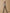 Cardigan jacquard Fille