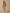 Short velours taille haute Fille