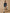 Surchemise en velours Fille