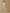 Sweat Fille lettres en tissu Liberty - Coton biologique