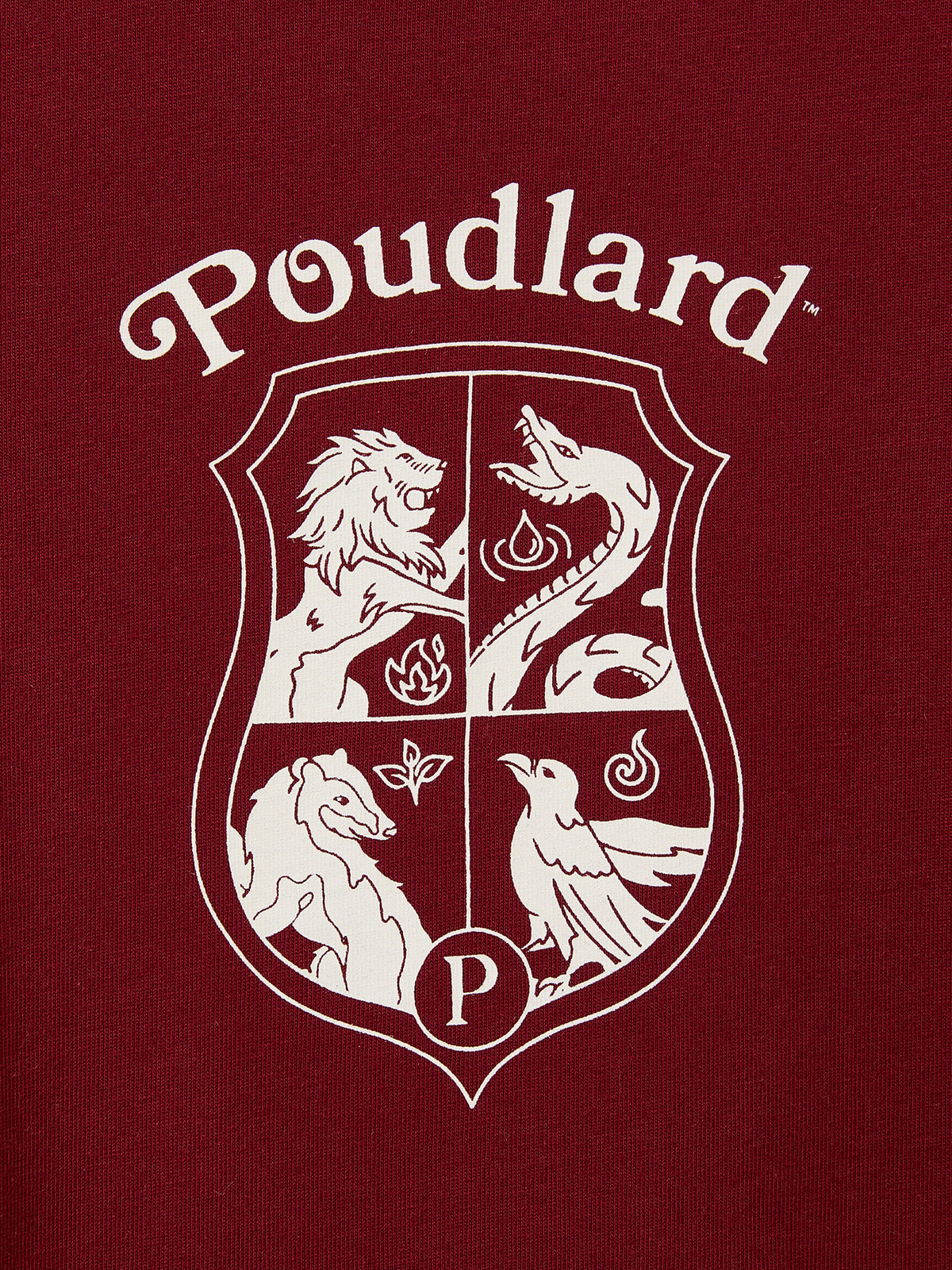 T-shirt Enfant - Collection Harry Potter