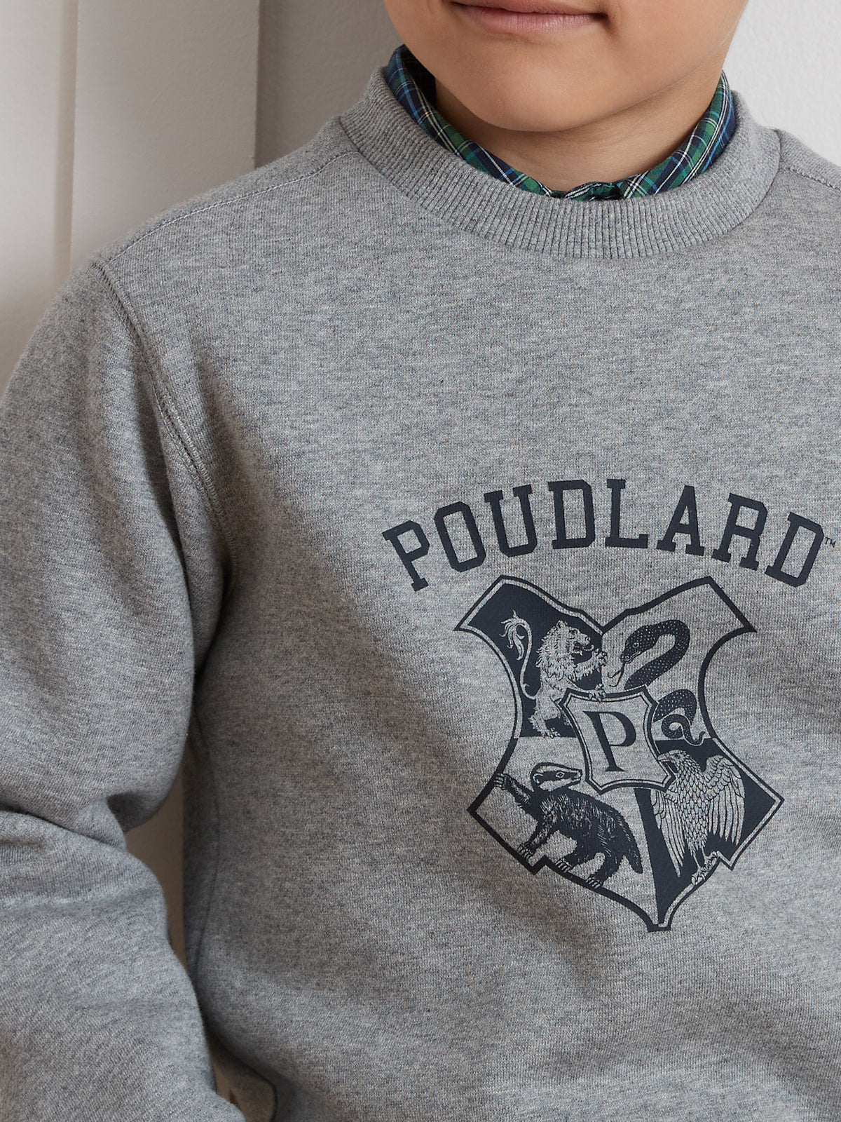 Sweatshirt aus der Harry Potter Kollektion