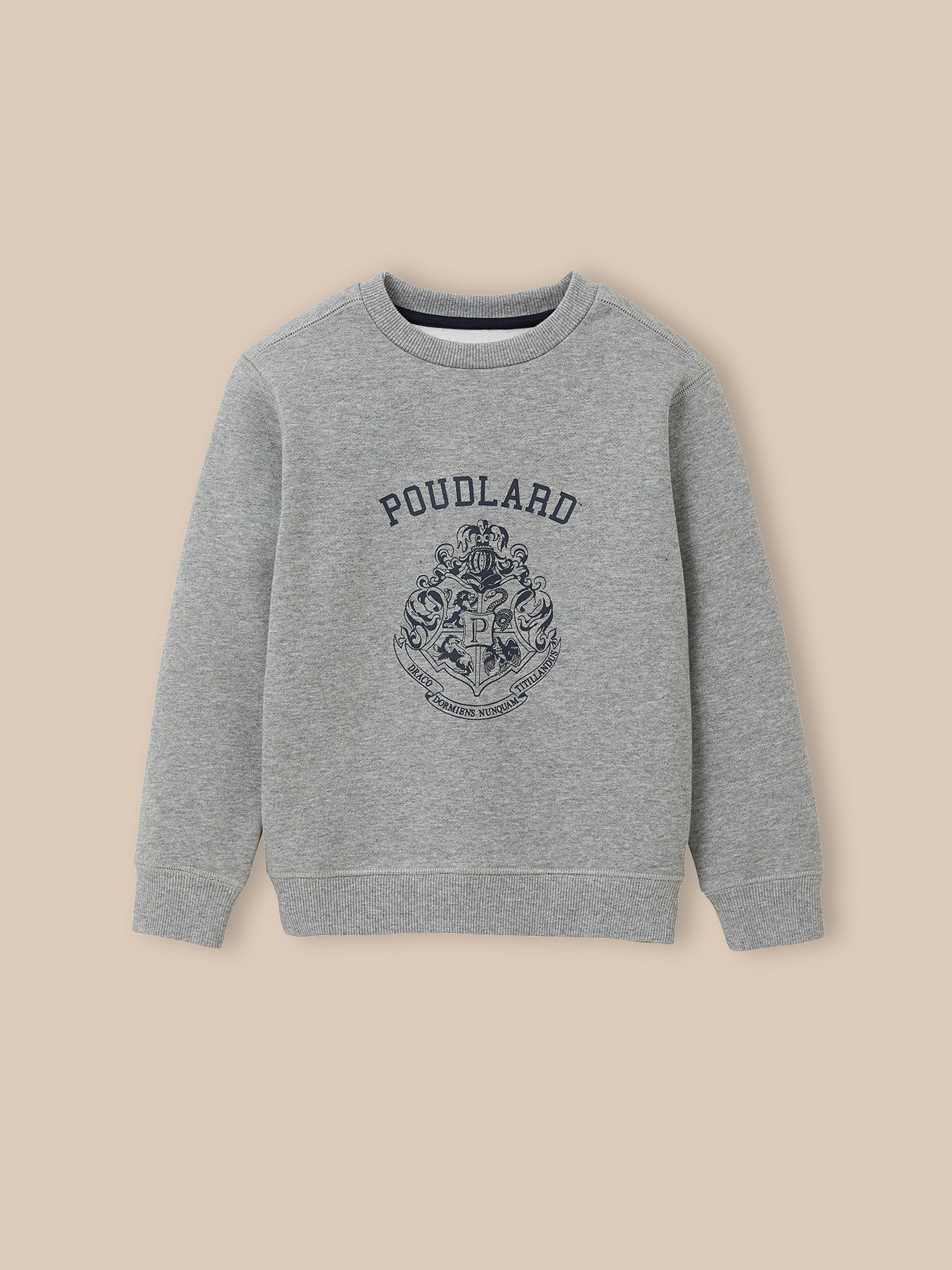 Kinder-Sweatshirt aus der Harry Potter Kollektion